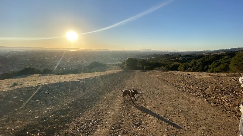 Knowland Park Open Space - Oakland, CA