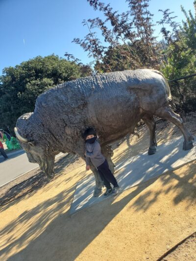 Knowland Park Open Space - Oakland, CA