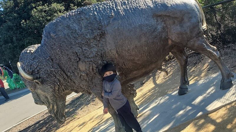 Knowland Park Open Space - Oakland, CA