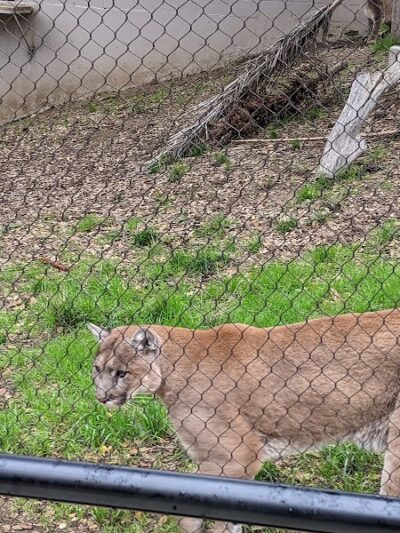 Knowland Park Open Space - Oakland, CA