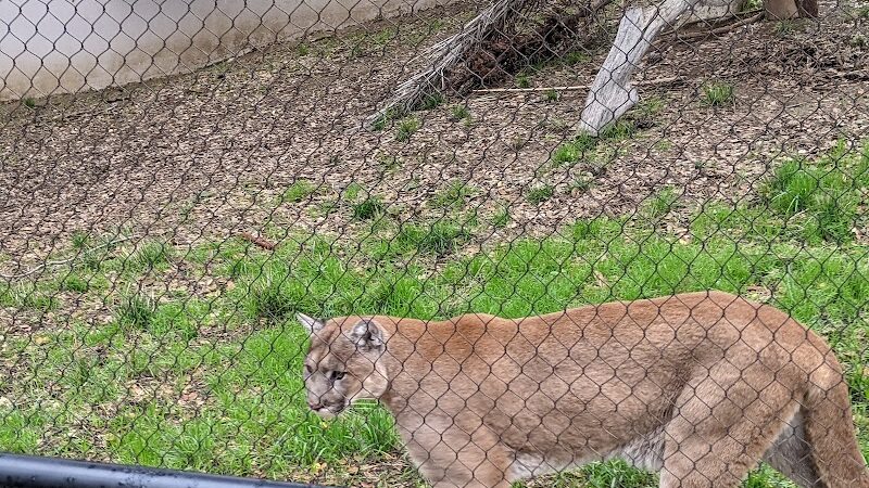 Knowland Park Open Space - Oakland, CA