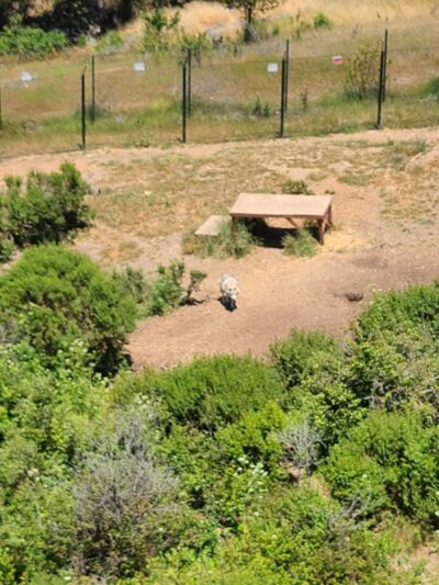 Knowland Park Open Space - Oakland, CA