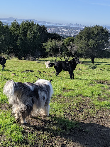 Knowland Park Open Space - Oakland, CA