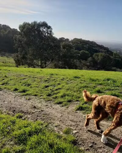 Knowland Park - Oakland, CA