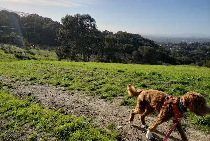 Knowland Park - Oakland, CA