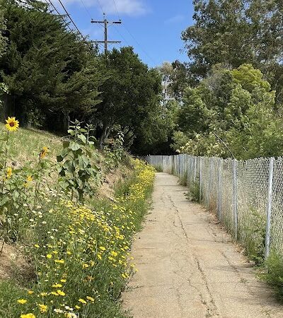 Kokua Park - Oakland, CA