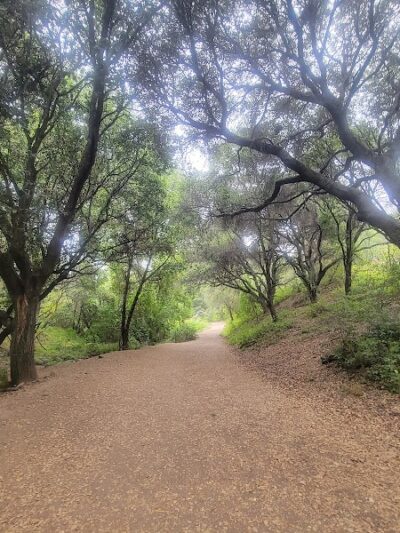 Leona Trailhead - Oakland, CA