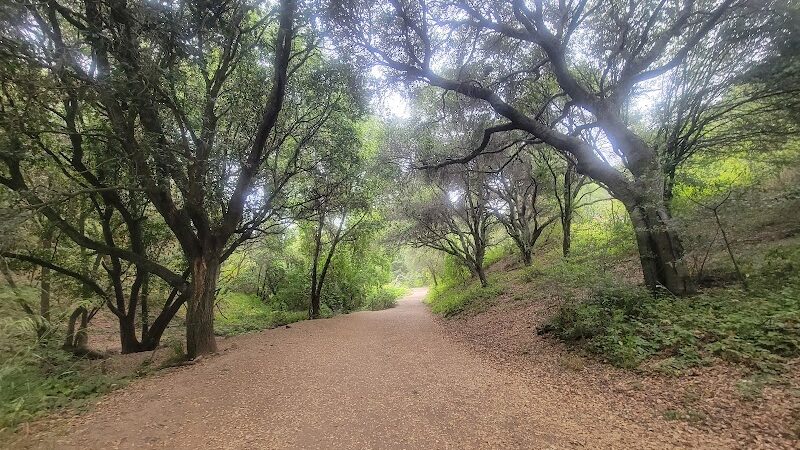 Leona Trailhead - Oakland, CA
