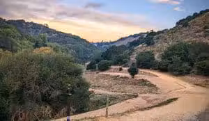 Leona Trailhead - Oakland, CA
