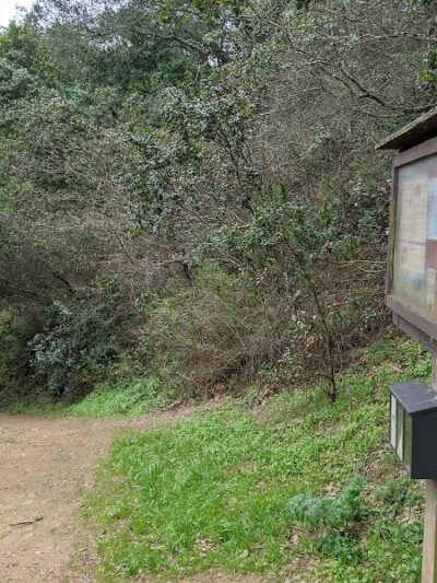 Leona Trailhead - Oakland, CA