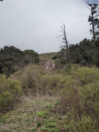 Leona Trailhead - Oakland, CA