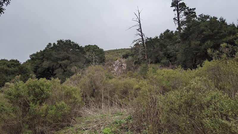 Leona Trailhead - Oakland, CA