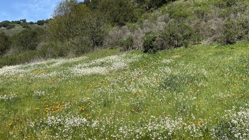 Leona Trailhead - Oakland, CA