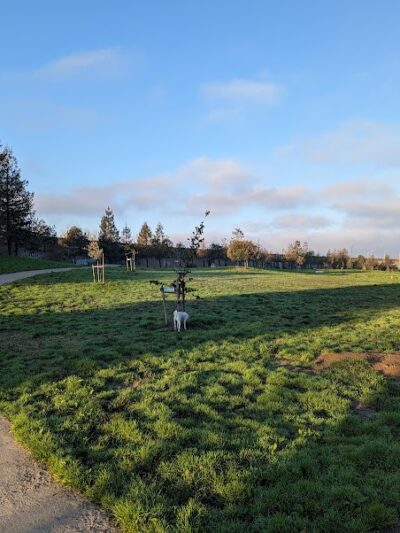 Lower Bottoms Park - Oakland, CA