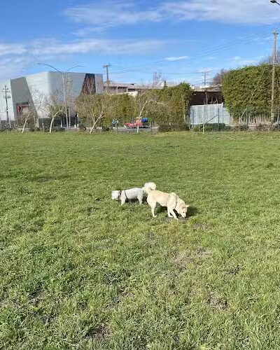 Lower Bottoms Park - Oakland, CA