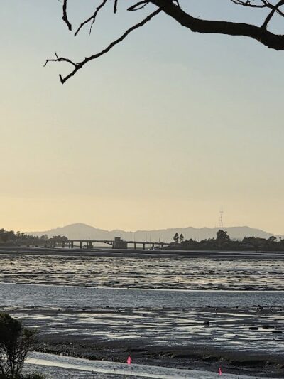 Martin Luther King Jr. Regional Shoreline - Oakland, CA