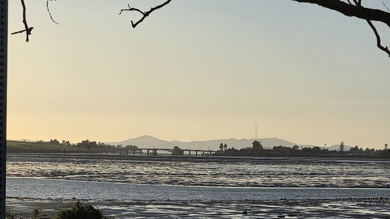 Martin Luther King Jr. Regional Shoreline - Oakland, CA