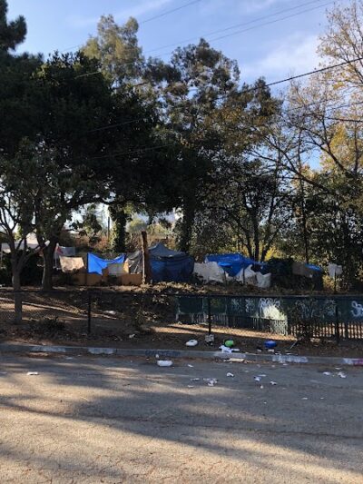 Mosswood Park Large Dog Run - Oakland, CA