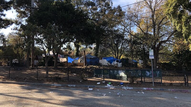 Mosswood Park Large Dog Run - Oakland, CA