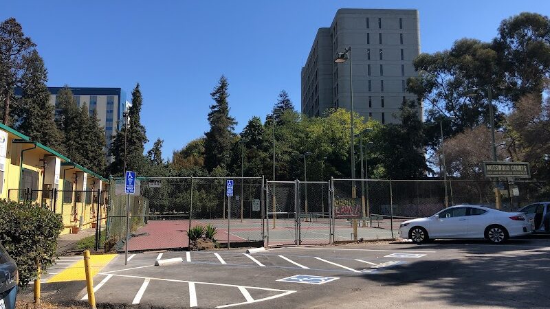 Mosswood Park Large Dog Run - Oakland, CA