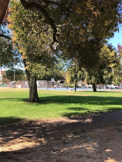 Mosswood Park Large Dog Run - Oakland, CA