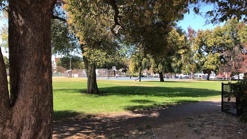 Mosswood Park Large Dog Run - Oakland, CA