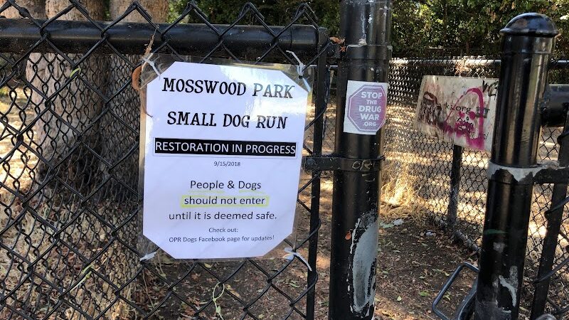 Mosswood Park Large Dog Run - Oakland, CA