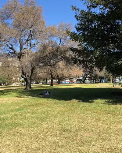 Mosswood Park Large Dog Run - Oakland, CA