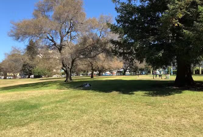 Mosswood Park Large Dog Run - Oakland, CA
