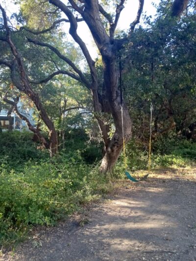 Oak Glen Park - Oakland, CA