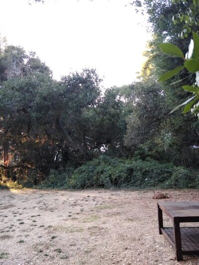 Oak Glen Park - Oakland, CA