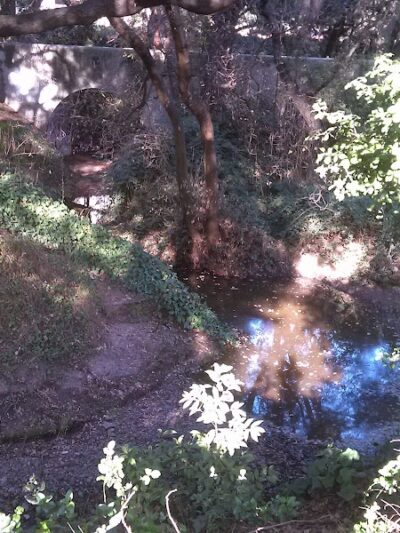 Oak Glen Park - Oakland, CA