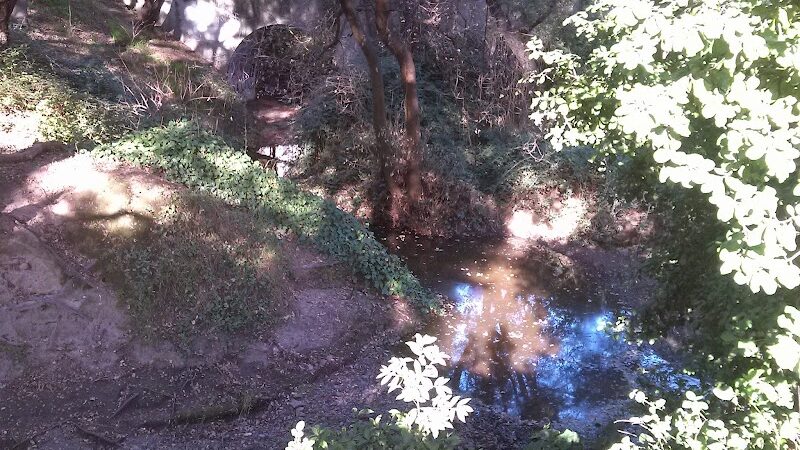 Oak Glen Park - Oakland, CA
