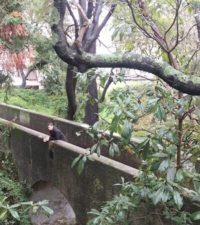 Oak Glen Park - Oakland, CA