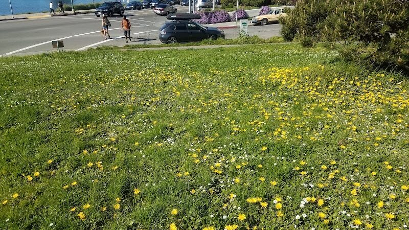Pine Knoll Park - Oakland, CA