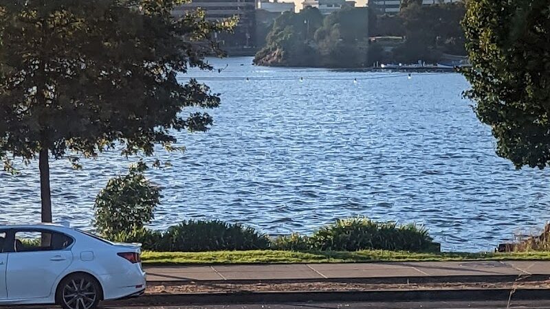 Pine Knoll Park - Oakland, CA