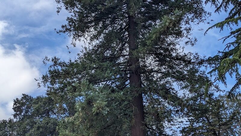 San Antonio Park - Oakland, CA