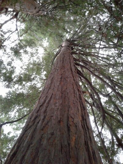 San Antonio Park - Oakland, CA