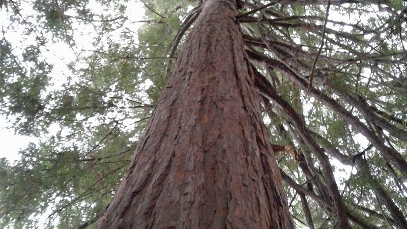 San Antonio Park - Oakland, CA