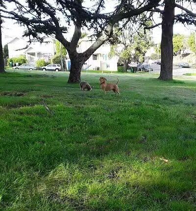 San Antonio Park - Oakland, CA