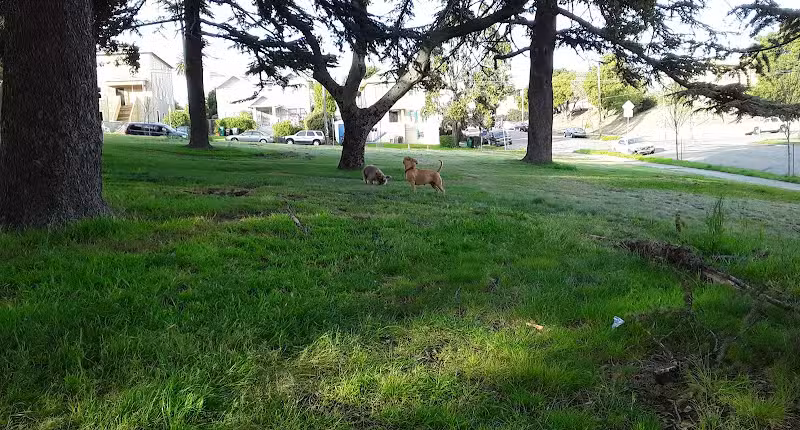 San Antonio Park - Oakland, CA