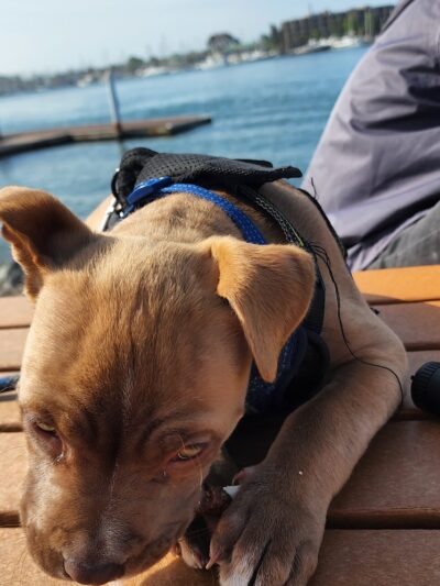 San Francisco Bay Trail - Oakland, CA