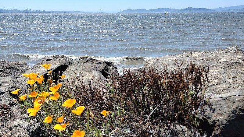 San Francisco Bay Trail - Oakland, CA