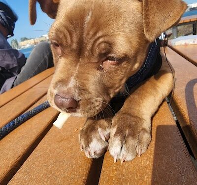 San Francisco Bay Trail - Oakland, CA