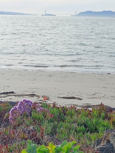San Francisco Bay Trail - Oakland, CA
