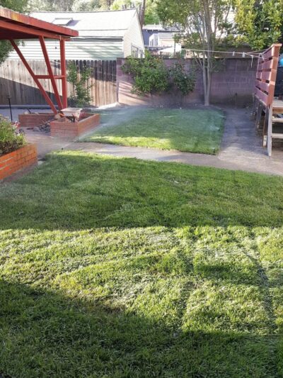 Sheffield Village Park - Oakland, CA