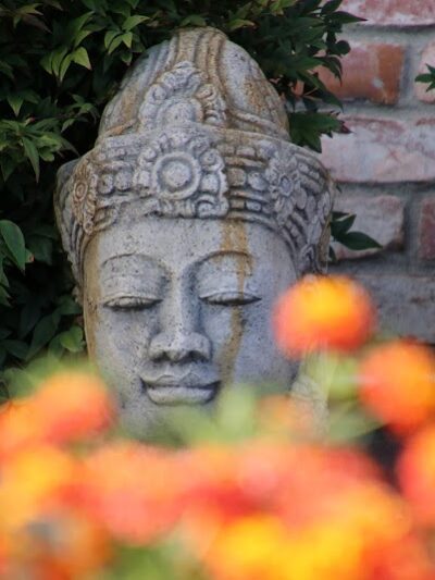 Sheffield Village Park - Oakland, CA