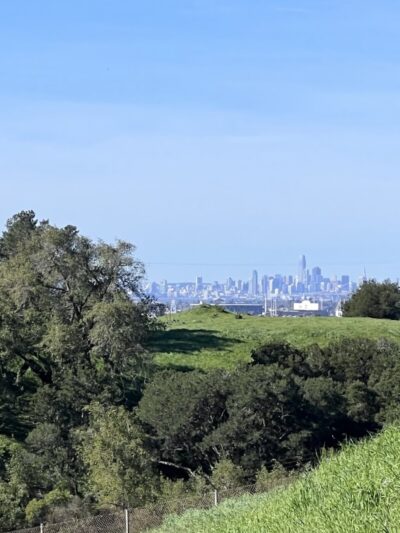 The San Leandro Trails - Oakland, CA