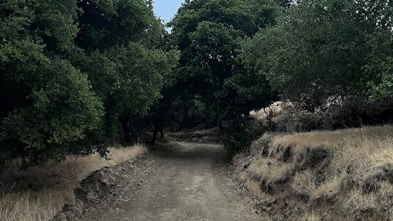 The San Leandro Trails - Oakland, CA