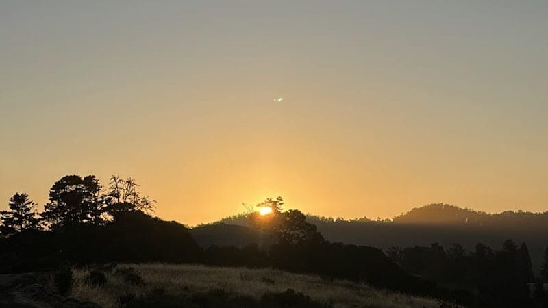 The San Leandro Trails - Oakland, CA